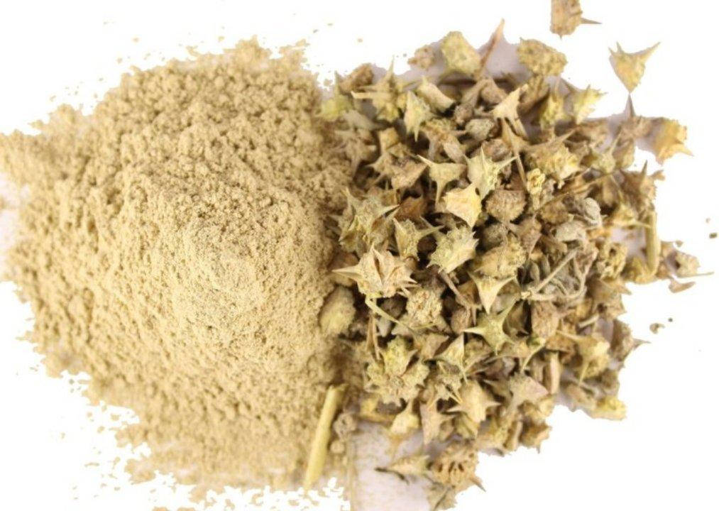 

Гокшура (Трибулус) порошок развес, Хімалаян інт., 100г., Himalayan International. Gokshura powder, Gokhru,