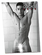 Еротичний календар Pin-Up Calendar Real Cocks 2026