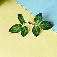 Лист троянди міні (шістка) 12*6 см пістрявий