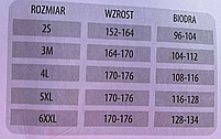 Колготки 40 ден жіночі капронові з шортиками міцні BETINA 40 чорні бежеві капучино сірі р 2 3 4 5, фото 7
