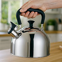 Чайник для плити зі свистком SilverTone, 2,0 л, нержавіюча сталь, одинарне дно
