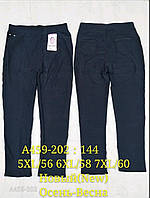 Жіночі гамаші-штани »Ластівка»5-7XL велетні