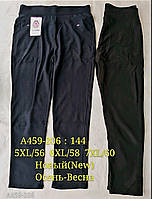 Жіночі гамаші-штани »Ластівка»5-7XL велетні