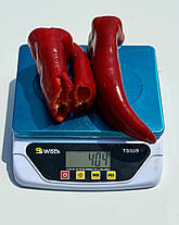 Насіння солодкого перцю Мілано F1 (Milano F1) Manier Seeds 1000, фото 4