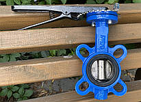 Затвор дисковий батерфляй Ду 50