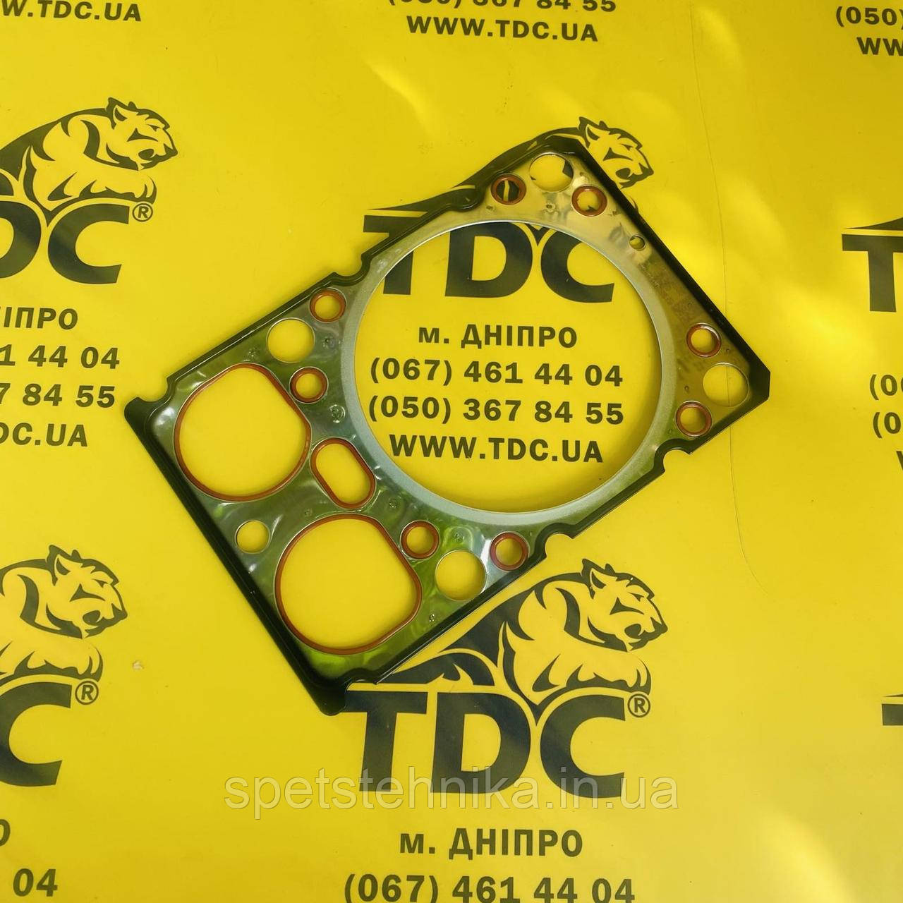 CK8001 Прокладка ГБЦ, фото 1