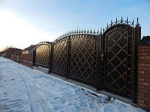 Ворота ковані Клітка ( Клітка), фото 2