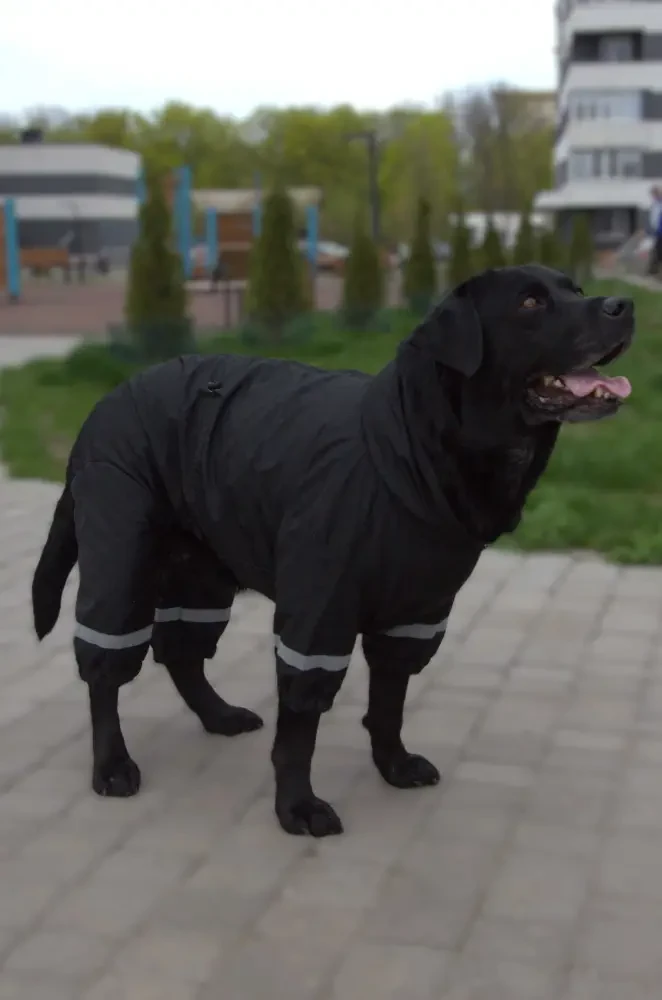Комбінезон - дощовик 64 см (об'єм до 92см) чорний розмір 11 для собак XL, фото 1
