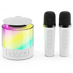 Портативна колонка з 2-ма мікрофонами К19 / Портативна колонка-караоке / Bluetooth колонка
