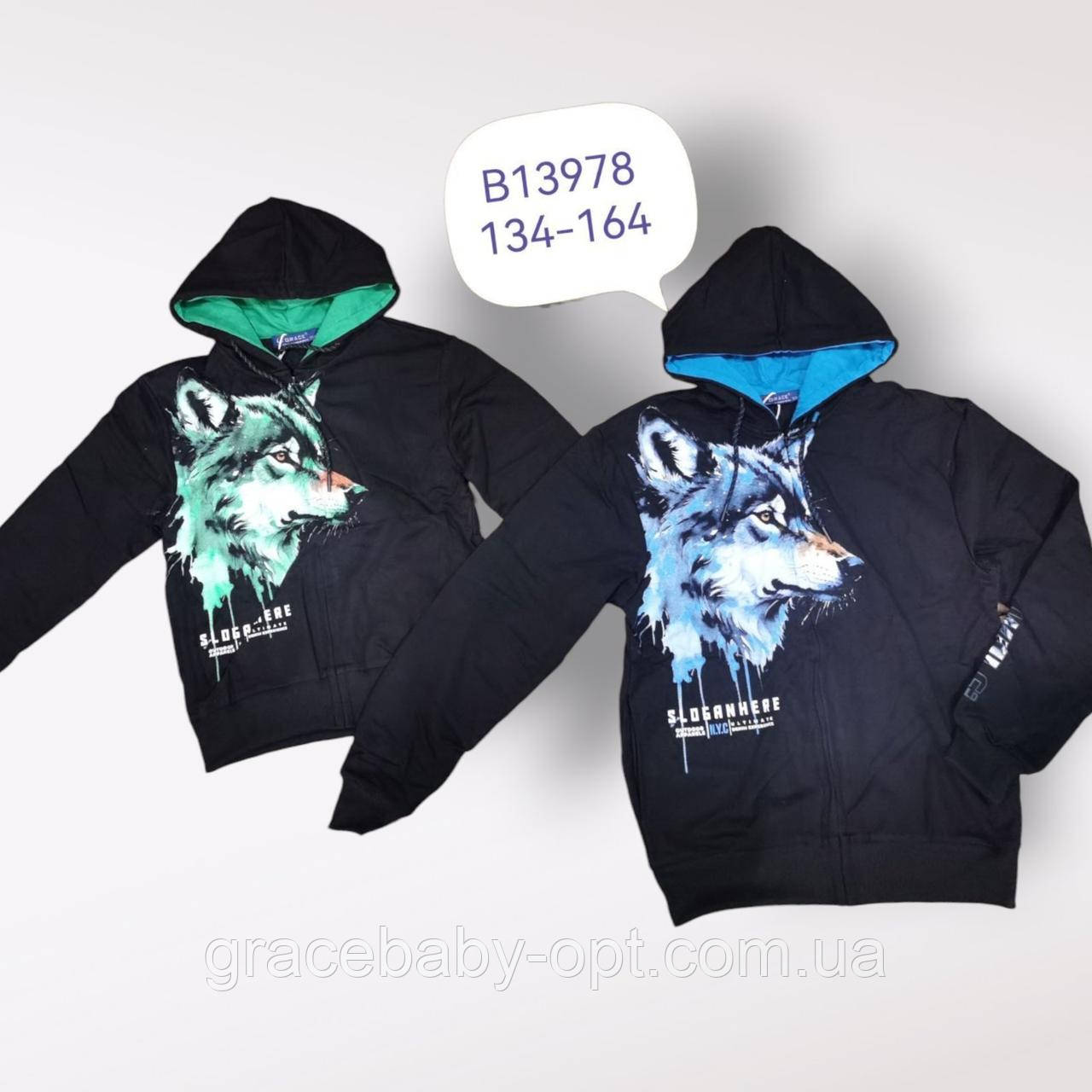 Толстовка для хлопчиків оптом, Grace, 134-164 см, No В13978, фото 1