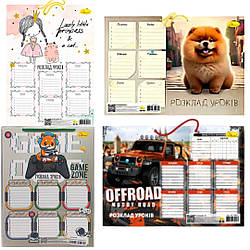 0801 Розклад занять пласт. Апельсин А4