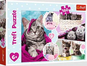 Пазли на 160 елементів