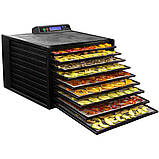 Дегідратор Excalibur 4948CDFB — професійна сушарка для фруктів, овочів, м'яса та пастили на 9 лотків, фото 4