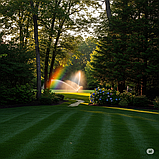 Тонконіг (мятлік) луговий Балін / Balin DLF Trifolium 1 кг, фото 2