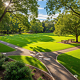 Газон «Спорт» DLF – для футбольного поля, дитячих ігор та активного відпочинку (ДАНІЯ), фото 2