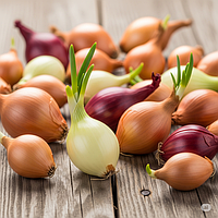 Цибуля сівок Broer B.V. (Нідерланди) ПЕРЕДЗАМОВЛЕННЯ ОСІНЬ 2025!