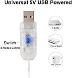 LED гірлянда штора 3x2 м, 200 LED тепле біле світло, USB, пульт, 8 режимів, фото 5