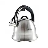 Чайник зі свистком EDENBERG  3,0 л матовий корпус, фото 2