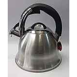 Чайник зі свистком EDENBERG  3,0 л матовий корпус, фото 4