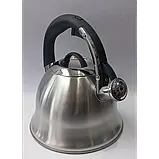 Чайник зі свистком EDENBERG  3,0 л матовий корпус, фото 5