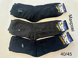 Маврові чоловічі Туреччина