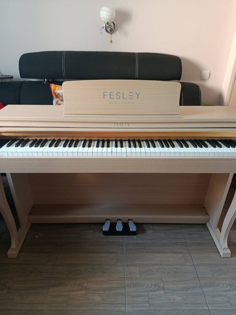 Цифрове піаніно Fesley FEP1000 MP (стойка, 3 педалі, пюпітр, навушники, чохол). Поліфонія 256 голосов - фото покупців 1