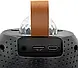 Колонка Bluetooth з 2 бездротовими мікрофонами для караоке та дискошаром Z1, фото 5