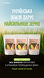 Пророщені зерна 3 пачки. Комплекс вітамінів, мінералів, амінокислот на 3 місяці, фото 3