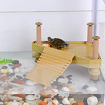 Острів для черепах, AQUAXER Island for Turtles Corner., фото 4