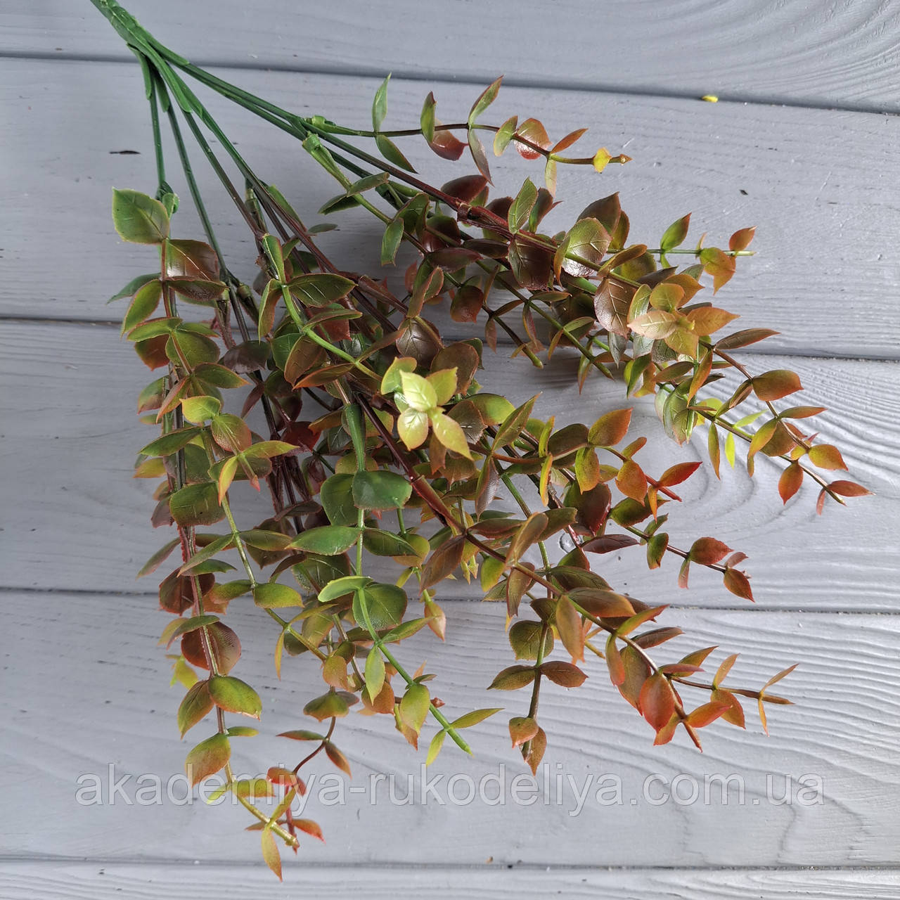 Куст евкаліпт тонований червоним — 7 гілок, фото 1