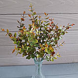 Куст евкаліпт тонований червоним — 7 гілок, фото 2