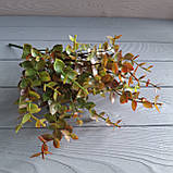 Куст евкаліпт тонований червоним — 7 гілок, фото 4