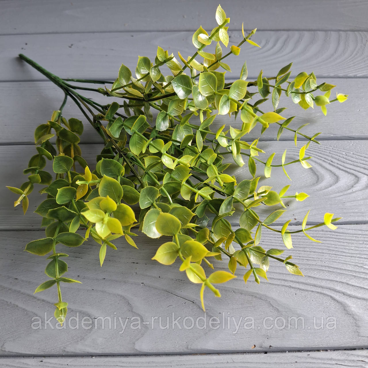 Куст евкаліпт тонований жовтим — 7 гілок, фото 1