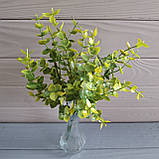 Куст евкаліпт тонований жовтим — 7 гілок, фото 2