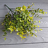 Куст евкаліпт тонований жовтим — 7 гілок, фото 3