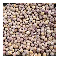 Чеснок Любаша (Однозубка) посадковий фракція 20 мм