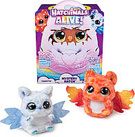 Іграшка-сюрприз Hatchimals Alive Tigrette Інтерактивний Тигрет у яйці з ефектами туману звуку та світла