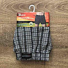 Труси чоловічі сімейні бязь поплін Indena, фото 5