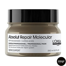 Маска для волосся L'Oreal Professional Absolut Repair Molecular 250 мл