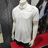 Футболка поло чоловіча короткий рукав бавовна гудзики XL  біла, фото 2
