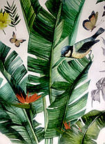 Вінілові наклейки Зелене листя папороті банан (лист 60 х 90 см) Б83-7, фото 4