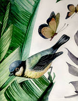 Вінілові наклейки Зелене листя папороті банан (лист 60 х 90 см) Б83-7, фото 5