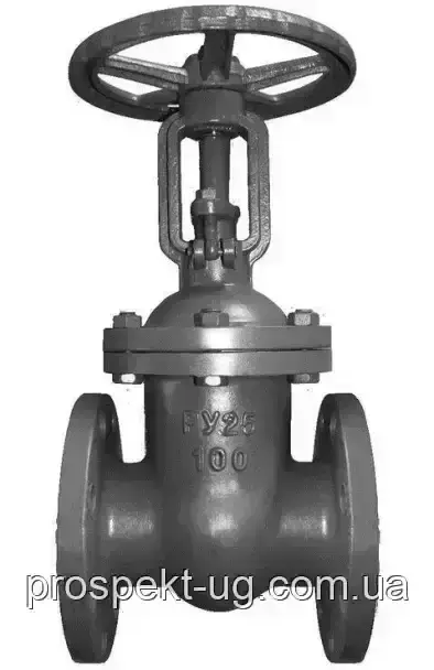 Засувка сталева 30с65нж Ду150 Ру25 фланцева, фото 1