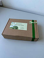 Набір для вирощування мікрозелені “Зроби свій день кращим” на 2 лотки