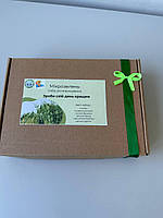 Набір для вирощування “Зроби свій день кращим” на 4 лотки