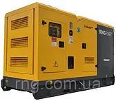 RNG Power RNG24 (Номінальна потужність - 24.0 кВт) Генератор дизельний