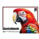 Альбом для малювання Папуга KT13022501 пружина 30 аркушів