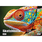 Альбом для малювання Хамелеон KT13022504 пружина 30 аркушів