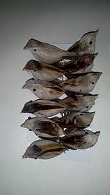 Пташка декоративна