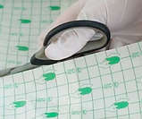 Плівка захисна загоювальна для тату Protective 15 см х 10 м, фото 2